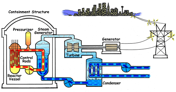 The Pressurized Water Reactor (PWR)