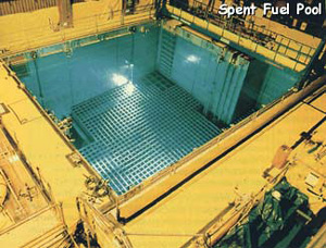 Spent Fuel Pool