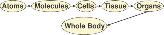 Biological effect of ionizing radiation