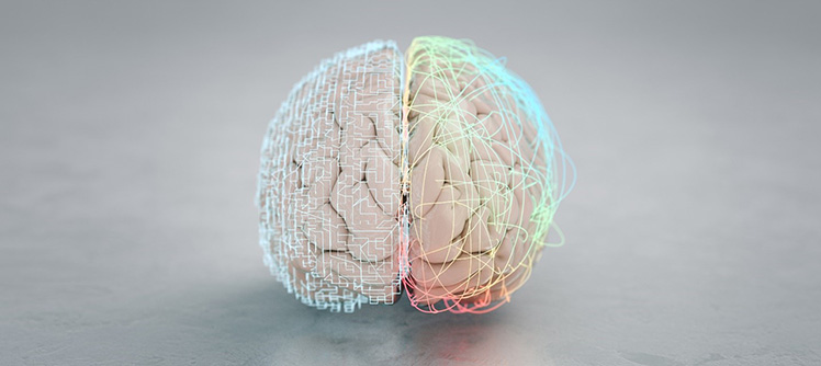 On a soft grey background is a photo of a human brain with different patterns of lines drawn across each half of the brain; The right half shows neuron connections in a human brain (a natural neural network). The left half shows a circuit board pattern, representing artificial neural networks.