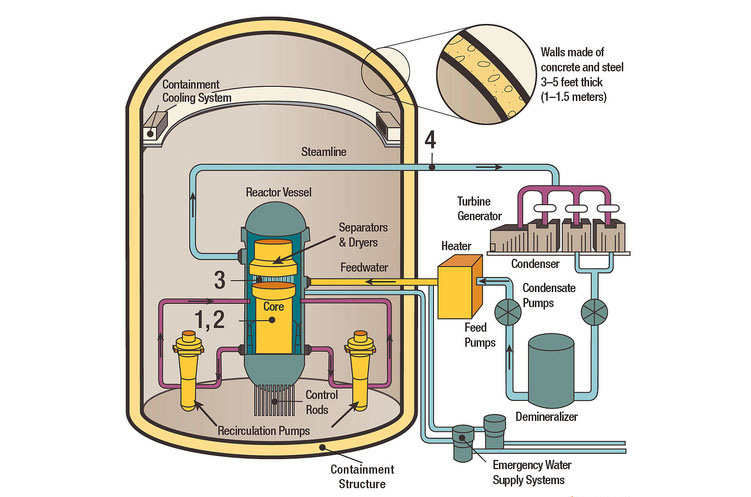 An artists rendering of the internal makeup of a Boiling Water Reactor, showing the various components which the reactor consists of: the containment structure with walls made of concrete and steel 3-5 feet thick; the reactor Core (in a reactor vessel with control rods); separators and dryers; feedwater line; recirculation pumps; steamline; containment cooling system and emergency water supply systems