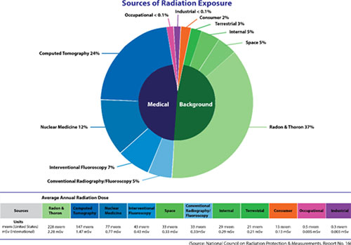 Image of a pie chart for the Sources of Radiation Exposure.