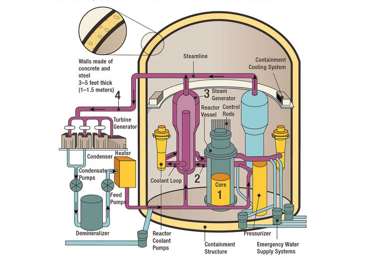 An artists rendering of the internal makeup of a Pressurized Water Reactor, showing the various components which the reactor consists of: the containment structure with walls made of concrete and steel 3-5 feet thick; the reactor Core (in a reactor vessel with control rods); a steam generator; coolant loop with reactor coolant pumps; steamline and containment cooling system; pressurizer and emergency water supply systems