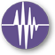 Seismic Reevaluations a brown circle with a graph representation in the center