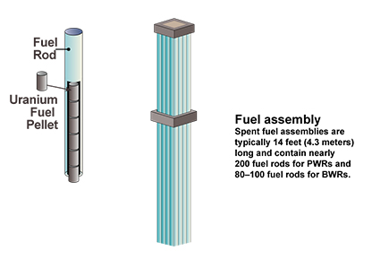 Fuel Assembly