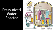 An image of a cross sectioned diagram of a Pressurized Water Reactor.