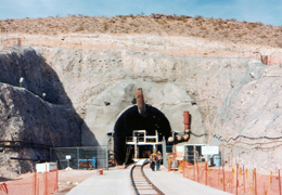 Section Photo