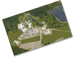 Section Photo