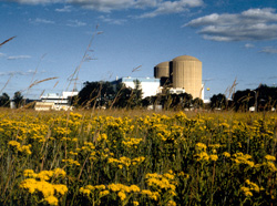 Photograph of Prairie Island 2