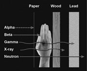 black and white image showing how different kinds of radiation travel different distances and have different abilities to penetrate, depending on their mass and their energy, showing 3 column headings: Paper, Wood, and Lead, with samples of each below, and an x-ray of a human hand; on the left side are Alpha, Beta, Gamma, X-ray, and Neutron with arrows showing how far each penetrates through the material samples provided.