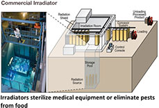 Irradiators sterilize medical equipment or eliminate pests from food