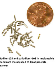 Photo of Iodine-125 and palladium-103 in implantable seeds next to a U.S. one-cent coin for size comparison