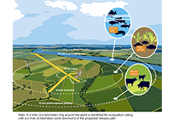 An illustration diagram of Emergency Planning Zones layout showing a 50-mile food sampling area (fish & water; Crops & Soil; Milk & Livestock, etc.), with arrows point to various defined areas: 2-mile radius; 5 miles downwind; 10-mile plume- exposure pathway, etc., with the title: Emergency Planning Zones, and the words: Note: A 2-mile ring around the plant is identified for evacuation, along with a 5-mile zone downwind of the projected release path