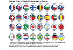 Illustration showing 32 small circles.  Within each circle is a country's flag, and below the circle/flag image is the nuclear share of electricity generated by that country in descending order: France 69%; Ukraine 55%; Slovakia 52.31%; Bulgium 50.8%; Hungary 46.8%; Slovenia 36.9%; Czech Rep. 36.6%; Bulgaria 34.6%; Finland 32.8%; Sweden 30.8%%; Switzerland 28.8%; Rep. Korea 28%; Armenia 25.3%; Spain 20.8%; USA 19.6%; Romania 18.5%; United Kingdom 14.8%; Canada 14.6%; Belarus 14.1%; Germany 11.9%; Pakistan 10.6%; Argentina 7.2%; Japan 7.2%; S. Africa 6%; China 5%; Mexico 5.3%; India 3.2%; Netherlands 3.1%; Brazil 2.4%; UAE 1.3%; Iran .1%.  Centered above the image is the title: Nuclear Share of Electricity Generated by Country