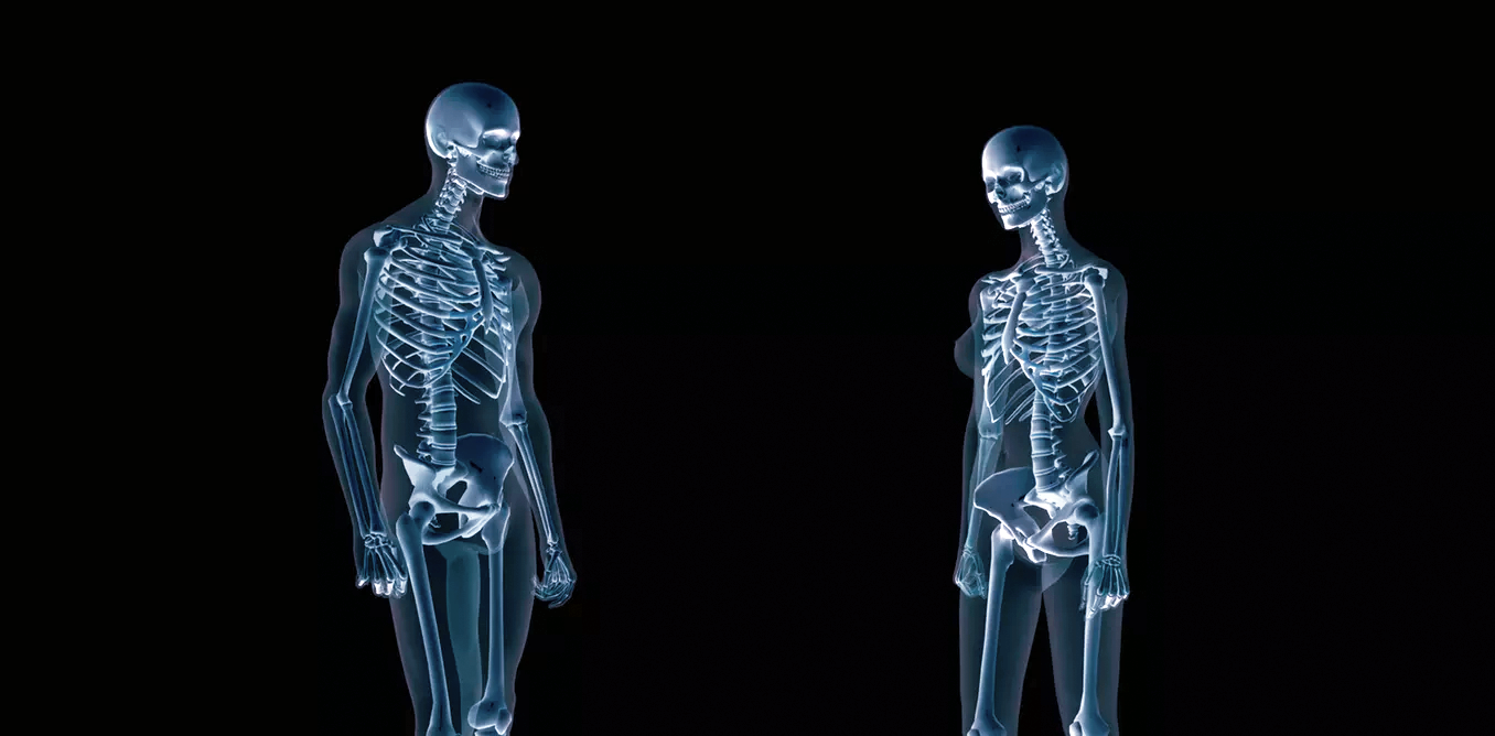 Human skeletons