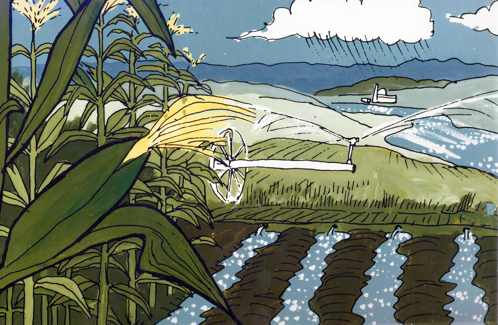 A corn field with power plant in distance