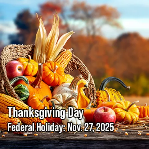 Image of assorted fall fruits and vegetables on an outdoor table. 